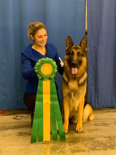 Reserve Best in Show for Lucifer